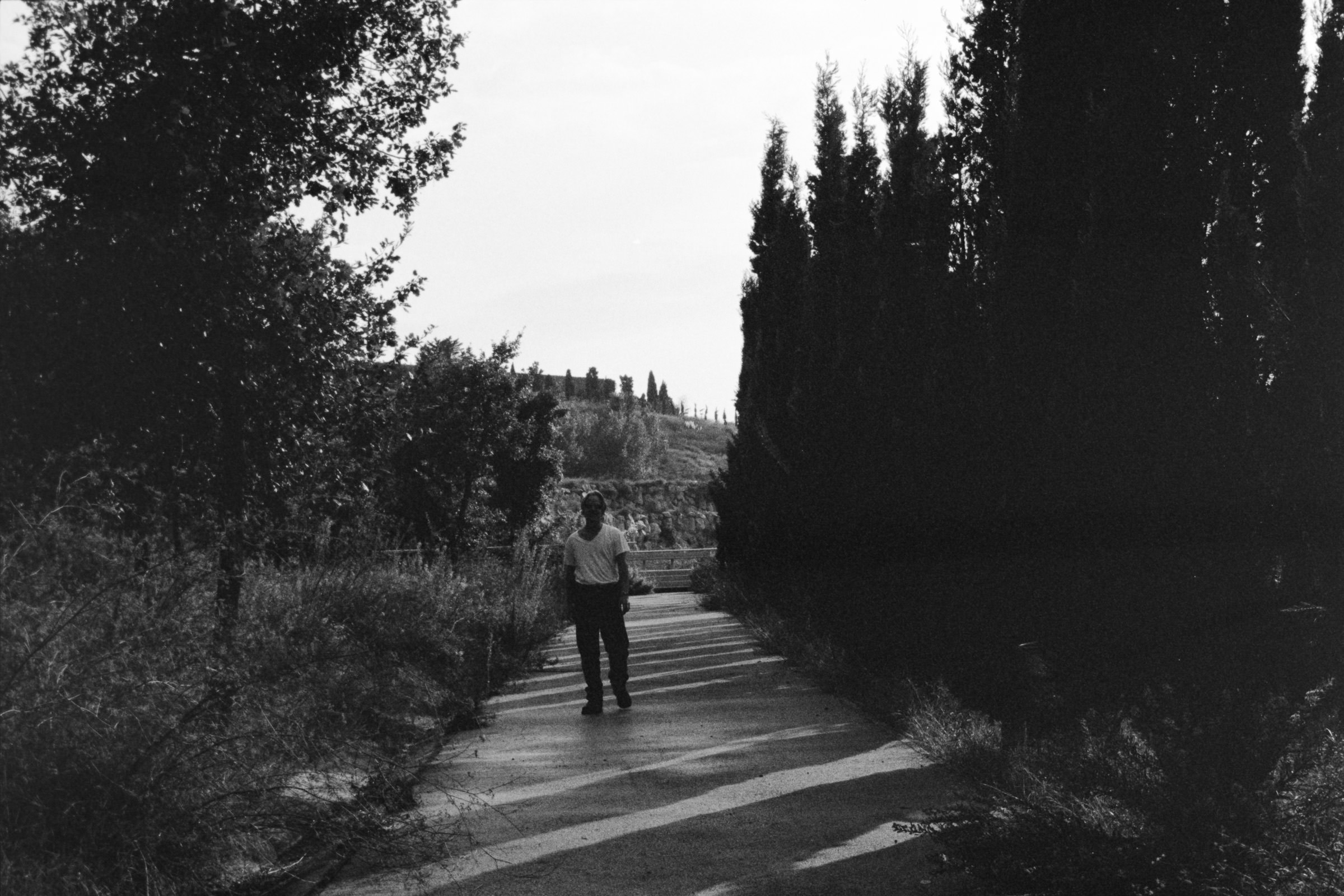 AHP F1995 10 001 sc240815 img23 NLP